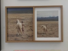 Wilma Hurskainen: double frame